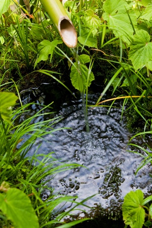 Japanese style water bowlの写真素材