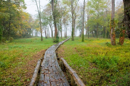 a wooden wayの写真素材