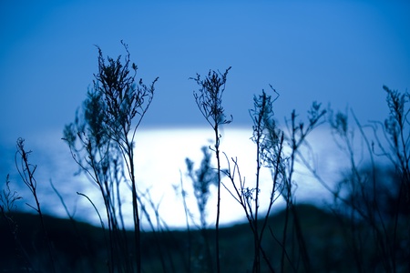 The horizon  lightの写真素材