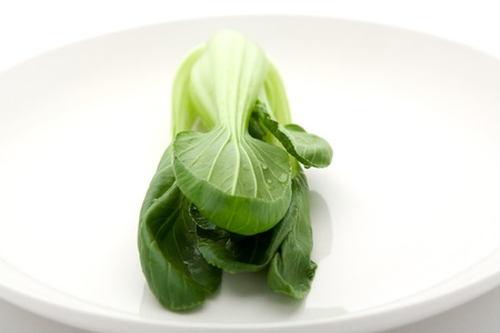 Chinese cabbage on a white plateの写真素材