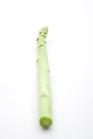 green asparagus of a white backgroundの写真素材