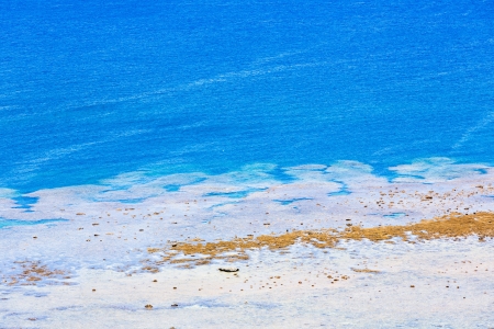 The blue coral reef of the southern countryの写真素材