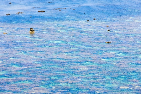 The blue coral reef of the southern countryの写真素材