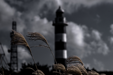Great lighthouse in Japanの写真素材