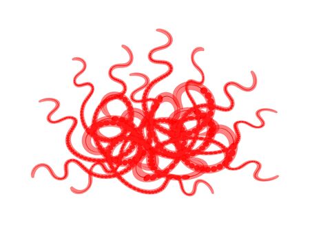 Tubifexの写真素材