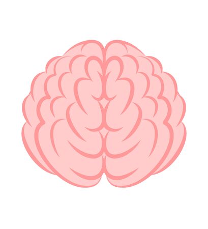 Brain Right Brain Left Brain Cerebral Illustration Cartoonの写真素材