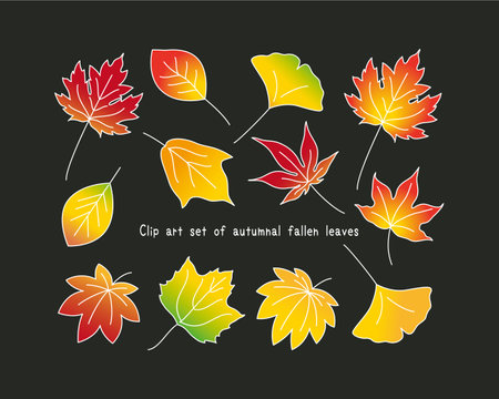 Colorful vector illustration set of fallen leaves with autumn leaves Ginkgo, maple, oak, maple leaf, plane tree, maple 
Set of colorful vector illustrations of autumnal fallen leaves. Ginkgo, maple, oak, maple leaf, plane tree, mapleのイラスト素材