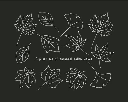 Set of hand drawn autumn leaves isolated on black background. Vector illustration.のイラスト素材