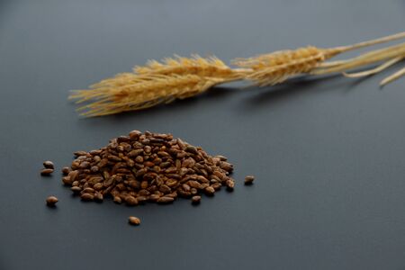 Ear of wheat and grain of wheat.の写真素材