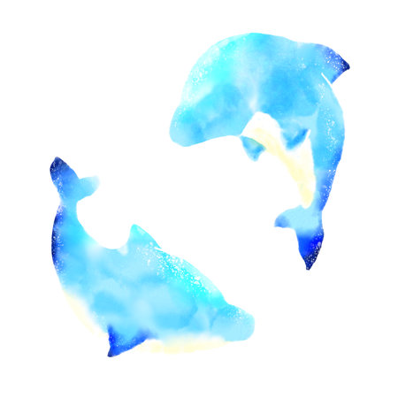 I drew a bright watercolor painting of two dolphins swimming happily.の写真素材