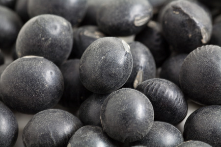 Black beans in full frameの写真素材