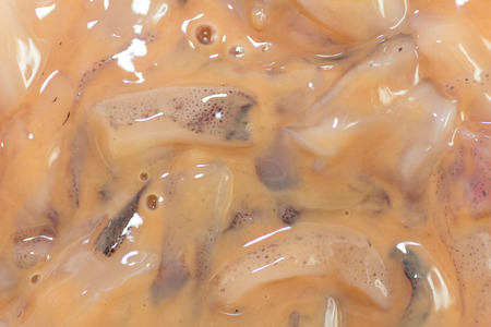 Japanese salted fish guts called Ika No Shiokara