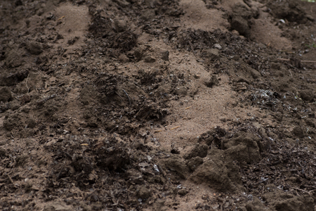 Soft soil on farmの写真素材