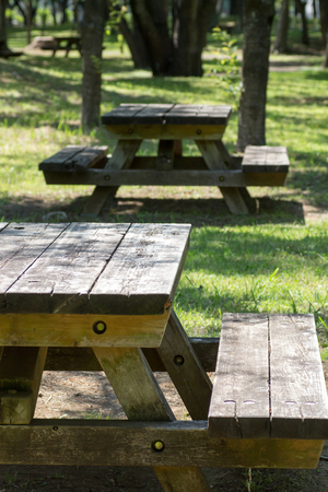 Empty picnic table in a tranquil park, summerの写真素材