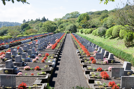 Landscape Japanese modern well maintained grave site with red and pink flowersのeditorial素材