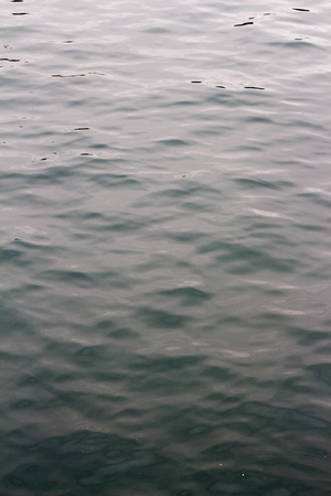Surface of dark black cold sea in winterの写真素材