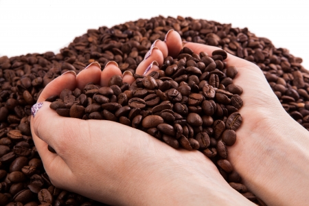 a handful of coffee beansの写真素材