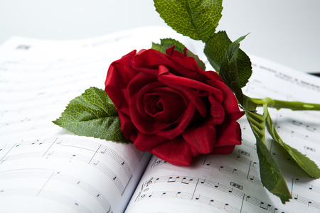 rose flower on note book close-upの写真素材