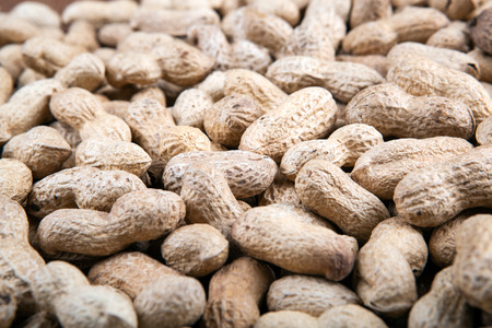 large grains of peanuts in the shell close up