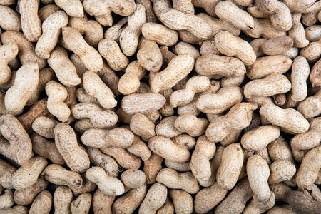 large grains of peanuts in the shell close up