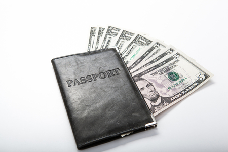 passport with dollar bills