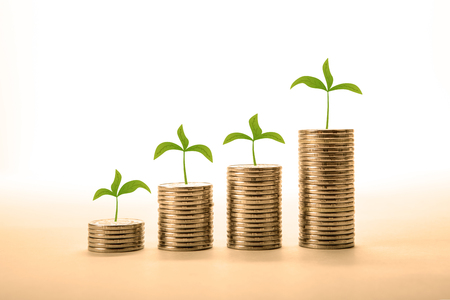 stacks of coins with sprouts close upの写真素材