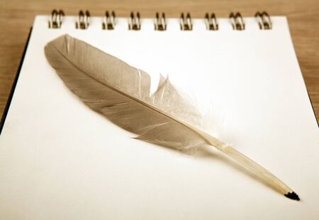 bird feather in the form of a pen on a white notebook close up