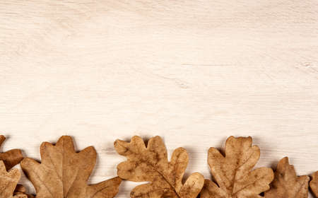 foliage of autumn oak leaves on a wooden backgroundの写真素材