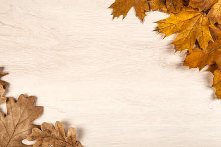 foliage of autumn oak and maple leaves on a wooden background in the form of a frame