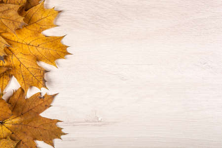 foliage of autumn maple leaves on a wooden backgroundの写真素材