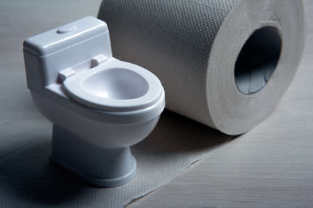 toilet bowl miniature with toilet paper roll on the table closeupの写真素材