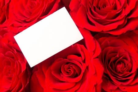 Red roses and blank card close upの写真素材