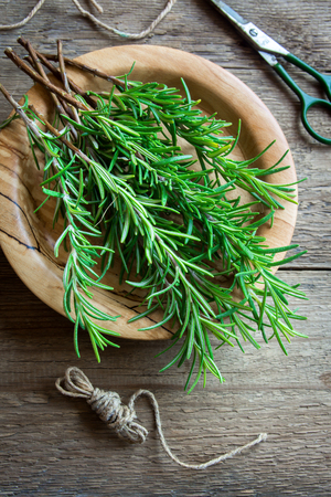 Rosemary leaves bunch close-up. Fresh Organic flavoring plants rosemary with scissors  on wooden table with copy space. Seasonings, cooking, ingredients for healthy food.の写真素材