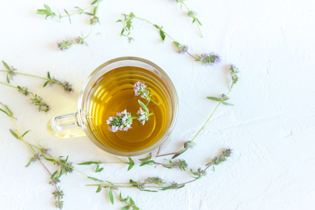 Healthy herbal tea with bunch of fresh wild thyme on white background. Cup of thyme tea, herbal drink.の写真素材