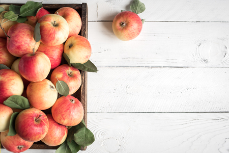 Red apples in wooden box. Organic red apples with leaves on white wooden background, copy space.の写真素材