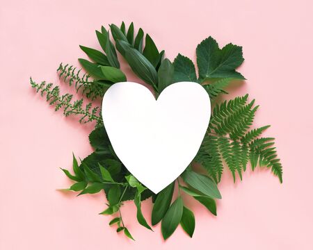 Creative layout of green leaves, various wild plants on pink and white heart shaped paper, copy space. Summer, spring, love or ecology concept.の写真素材