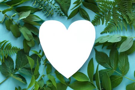 Creative layout of green leaves, various wild plants on blue and white heart shaped paper, copy space. Summer, spring, love or ecology concept.の写真素材