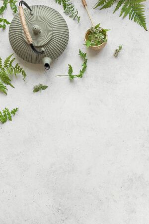Herbal or Green Tea on white background, top view, copy space. Teapot with wild plant leaves, natural herbal tea composition.の写真素材