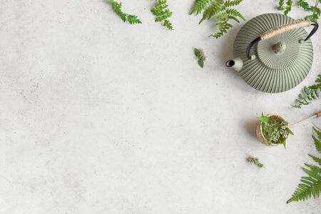 Herbal or Green Tea on white background, top view, copy space. Teapot with wild plant leaves, natural herbal tea composition.の写真素材