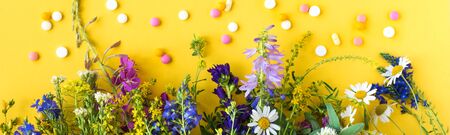 Natural alternative medicine. Homeopathy. Herbal vitamin or homeopathic pills and organic medicinal...