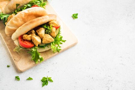 Chicken Tikka Naan Sandwich. Flatbread (naan, pita) sandwich with chicken and vegetables, copy space.の写真素材