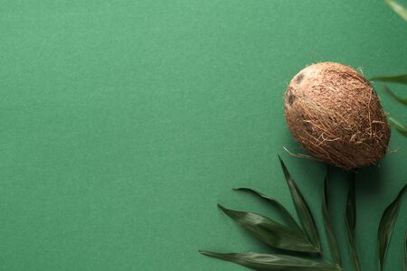 Palm Leaves and Coconut on green background, top view, copy space. Organic products and lifestyle...