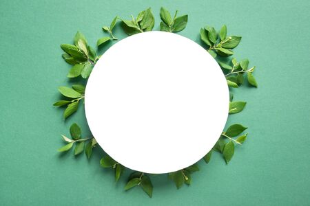 Creative layout made of green leaves, spring twigs on trendy green or mint background. Green leaves frame, flat lay, white round copy space. Summer or spring, ecology concept, greeting card design.の写真素材