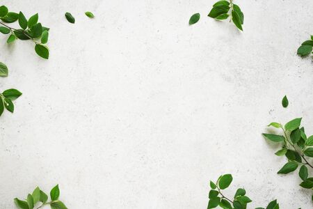 White background with green leaves, top view, copy space. Spring twigs with leaves, frame, flat lay. Eco lifestyle, spring or summer concept, minimal design.の写真素材