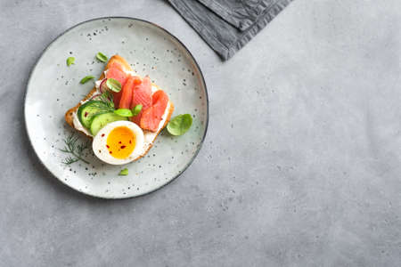 Healthy open salmon sandwich with cream cheese, soft egg, veggies and greens. Delicious protein fish sandwich for breakfast or brunch, top view, copy space.の写真素材