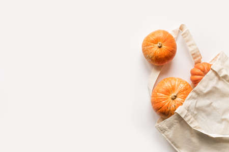 Autumn pumpkins in shopping eco-friendly bag isolated on white background, top view, copy space. Autumn composition. Thanksgiving, fall concept.の写真素材