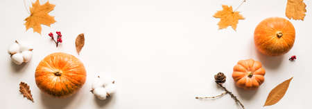 Autumn composition - pumpkins, autumn leaves, pine cones isolated on white background, creative flat lay, top view, banner. Seasonal autumn concept.の写真素材