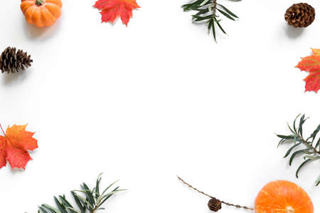 Autumn composition - Pumpkins, autumn maple leaves, pine cones isolated on white background, creative flat lay, top view, copy space. Seasonal autumn holiday concept.の写真素材