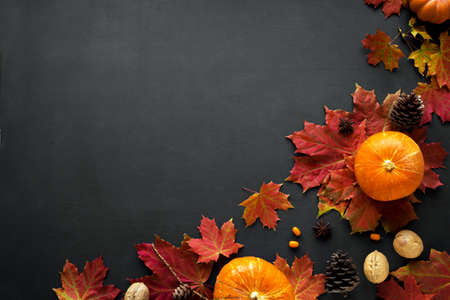 Autumn composition - Pumpkins, autumn maple leaves, pine cones on dark background, creative flat...