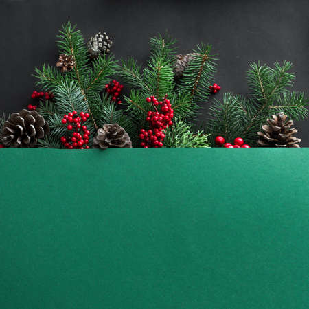 Christmas composition. Christmas tree branches and cones on multilayer green and black background....